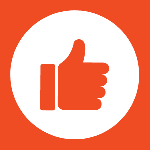 Tammy Cook like icon